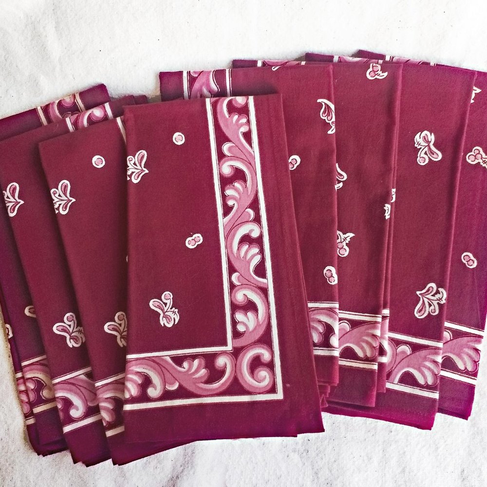 NOS Williams Sonoma Napkins Bandana Southwestern
